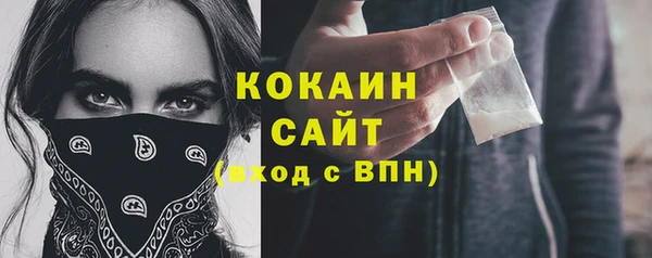 PSILOCYBIN Медвежьегорск