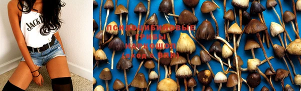 PSILOCYBIN Медвежьегорск