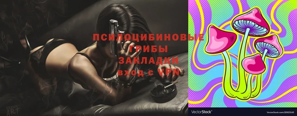 PSILOCYBIN Медвежьегорск