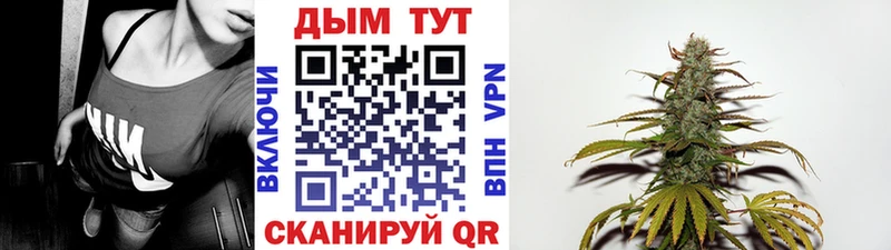 Канабис семена  Камбарка 
